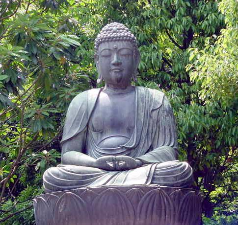Buddha Buddha
