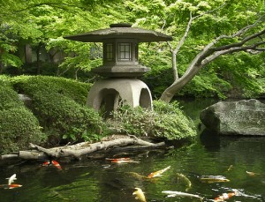 japanese garden