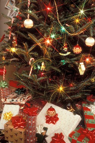 Christmas Ornament Christmas Ornament