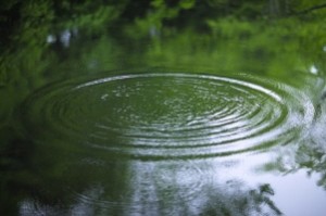 pebble in pond